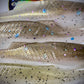 4.1 Inch PreyBait  swim baits