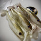 4.1 Inch PreyBait  swim baits