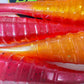3.5 Inch Ribbed Fishing Bait