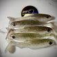 4.1 Inch PreyBait  swim baits