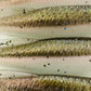5.2 Inch Shtickle Fishing Bait