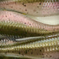 3.8" RIPRAP swim baits ( baby lobina )